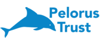 Pelorus